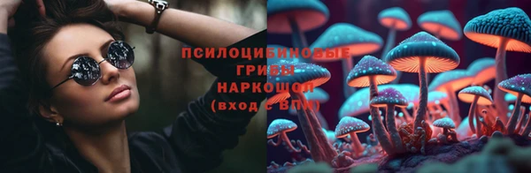 сатива Баксан