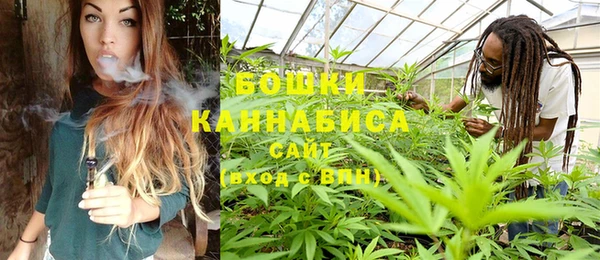 ГАЛЛЮЦИНОГЕННЫЕ ГРИБЫ Армянск